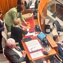 Nomina e mozioni in Consiglio